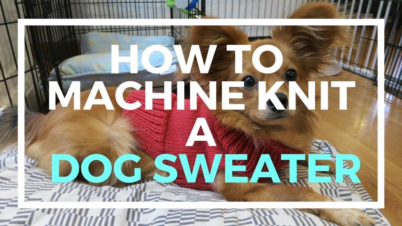 How to machine knit a dog sweater