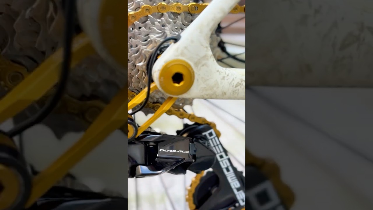 Hvad k&oslash;rer Cykelgear p&aring;: Trek Madone SLR 9 Gen. 8