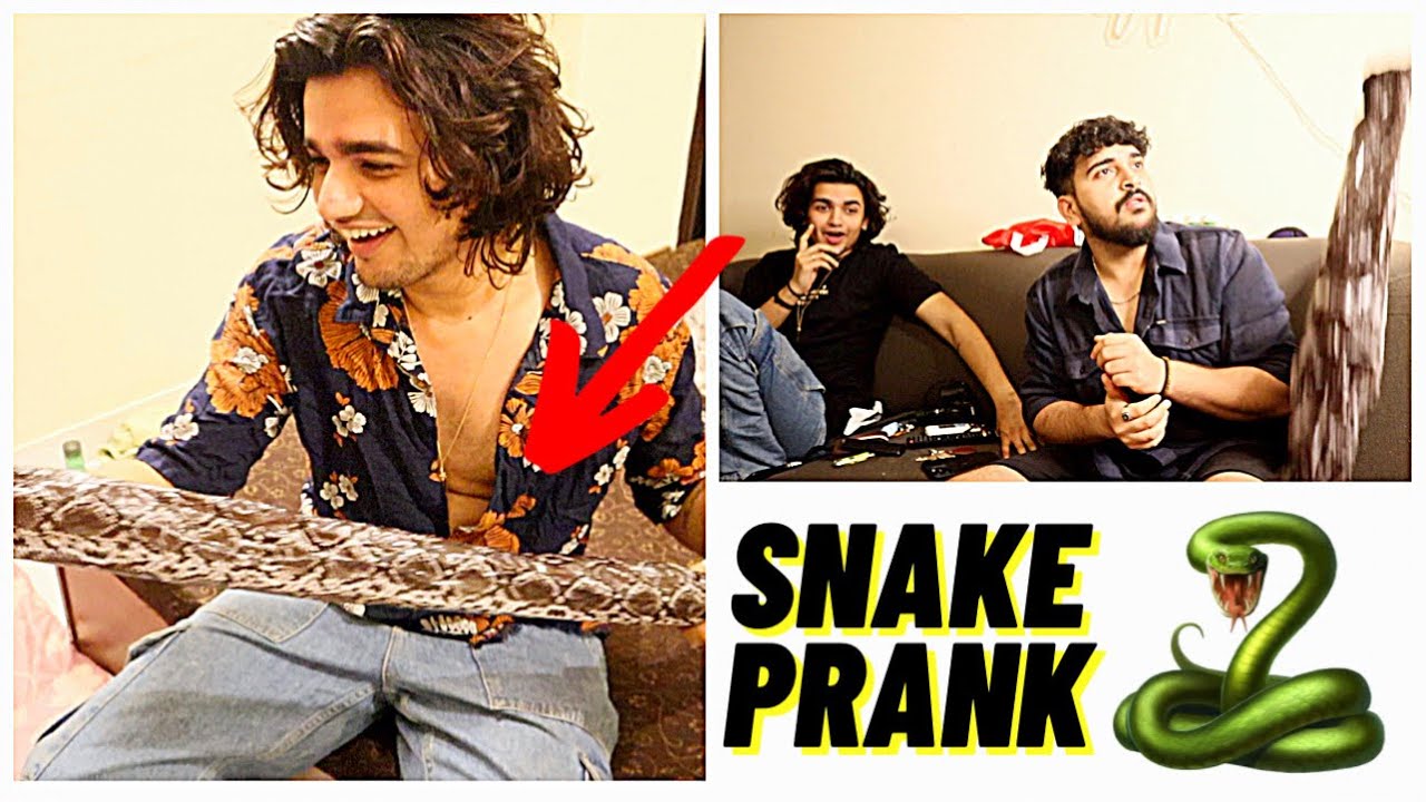 SNAKE PRANK ON EVERYONE GONE RIGHT!! 😂🐍 *jumpscare*