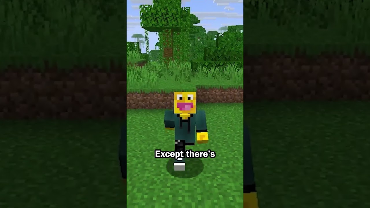 Door secret entrance