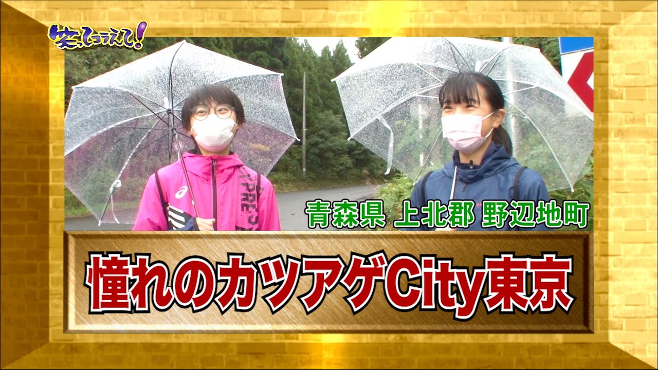 【ダーツの旅笑コラスタッフ厳選】「憧れのカツアゲCity東京」青森県野辺地町・傑作インタビュー