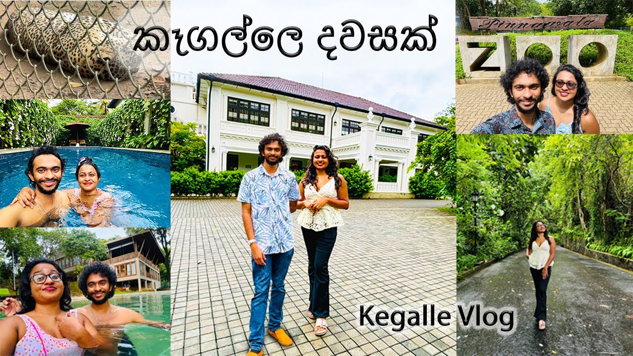 Kegalle Mini Vlog 🚗 | The Grand Walawwa Kegalle | Birds Park Resort Polgahawela | Pinnawala zoo
