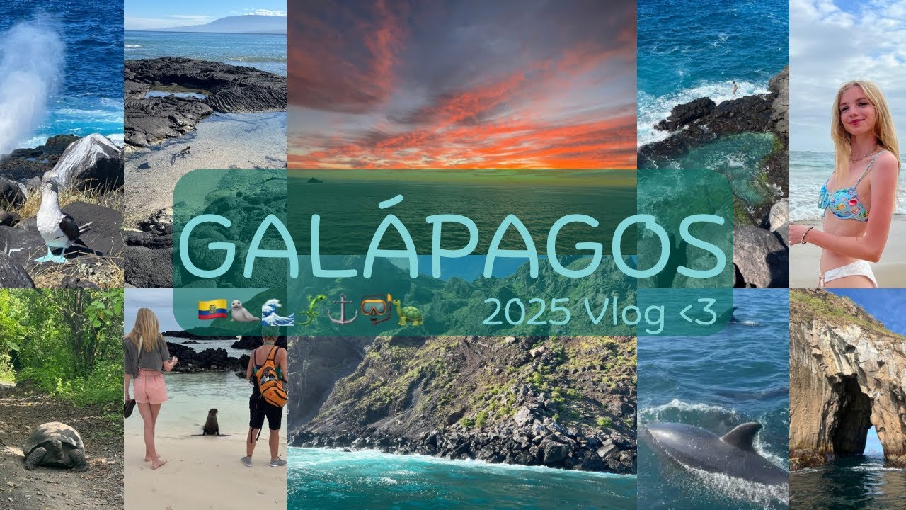 my *elite* galápagos islands experience! incredible 10 day cruise (hiking, animals, beaches)🛥️🇪🇨
