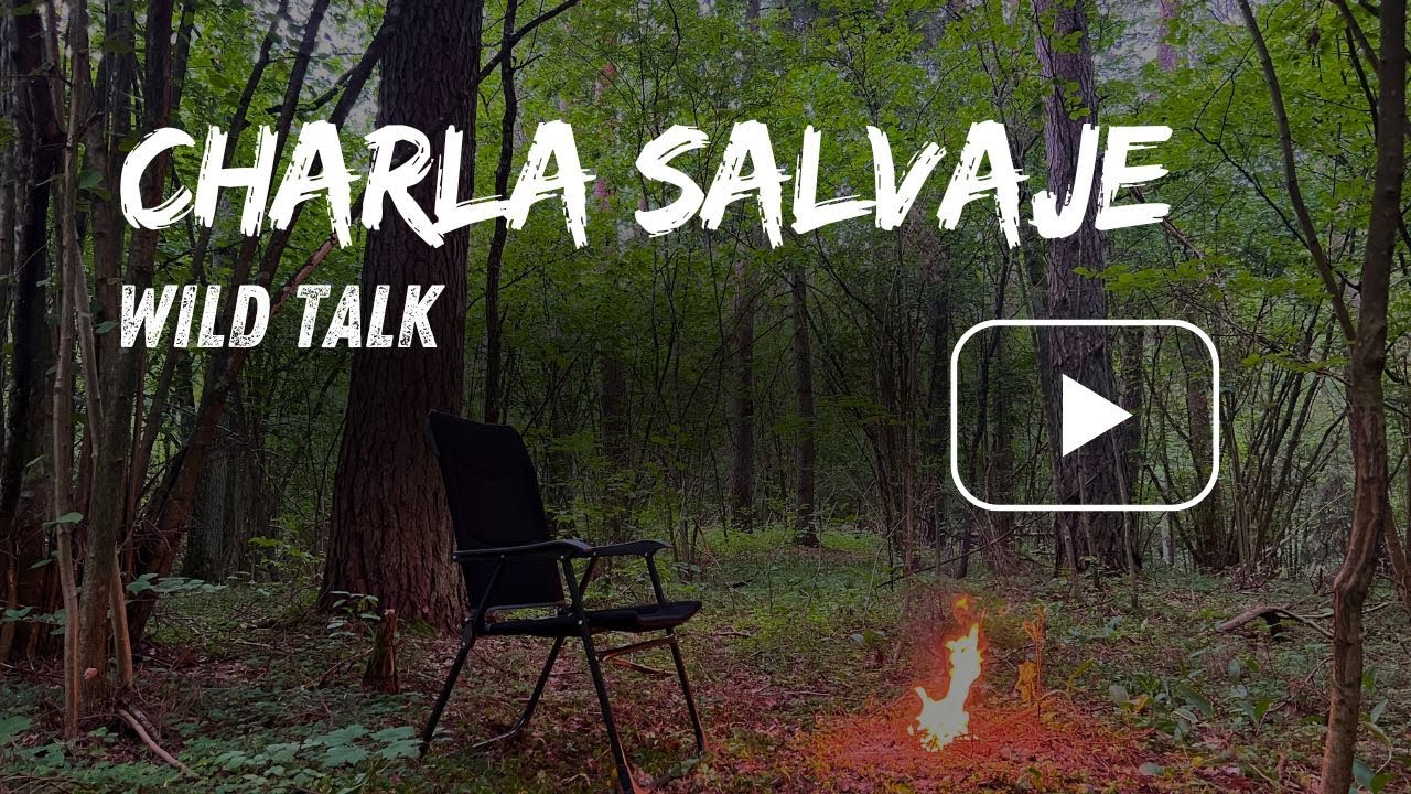 LA SOLEDAD COMO MAESTRA  🌲 Lo que la naturaleza enseña cuando nadie te habla.