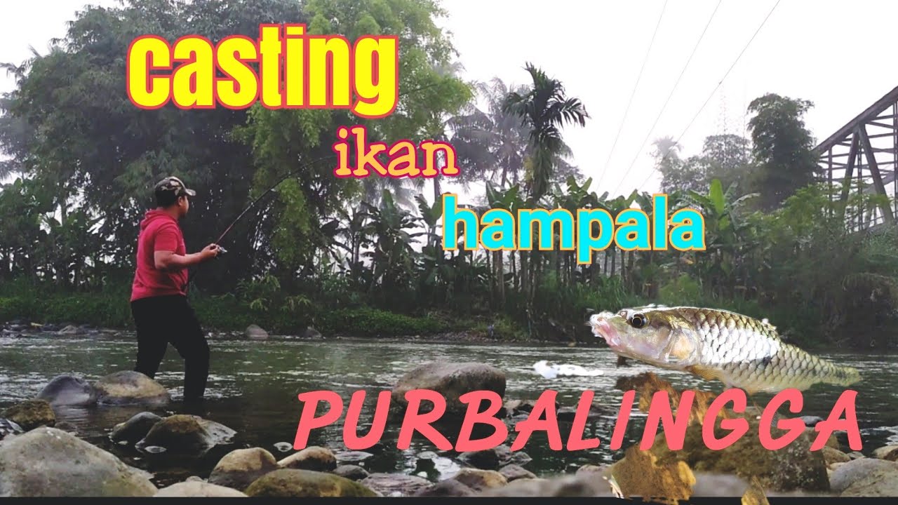 casting hampala sungai klawing purbalingga