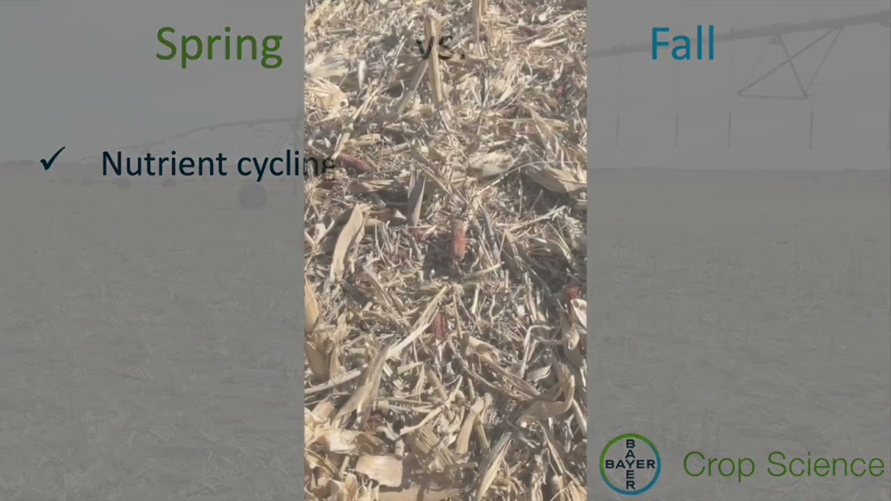 Fall vs Spring Soil Sampling