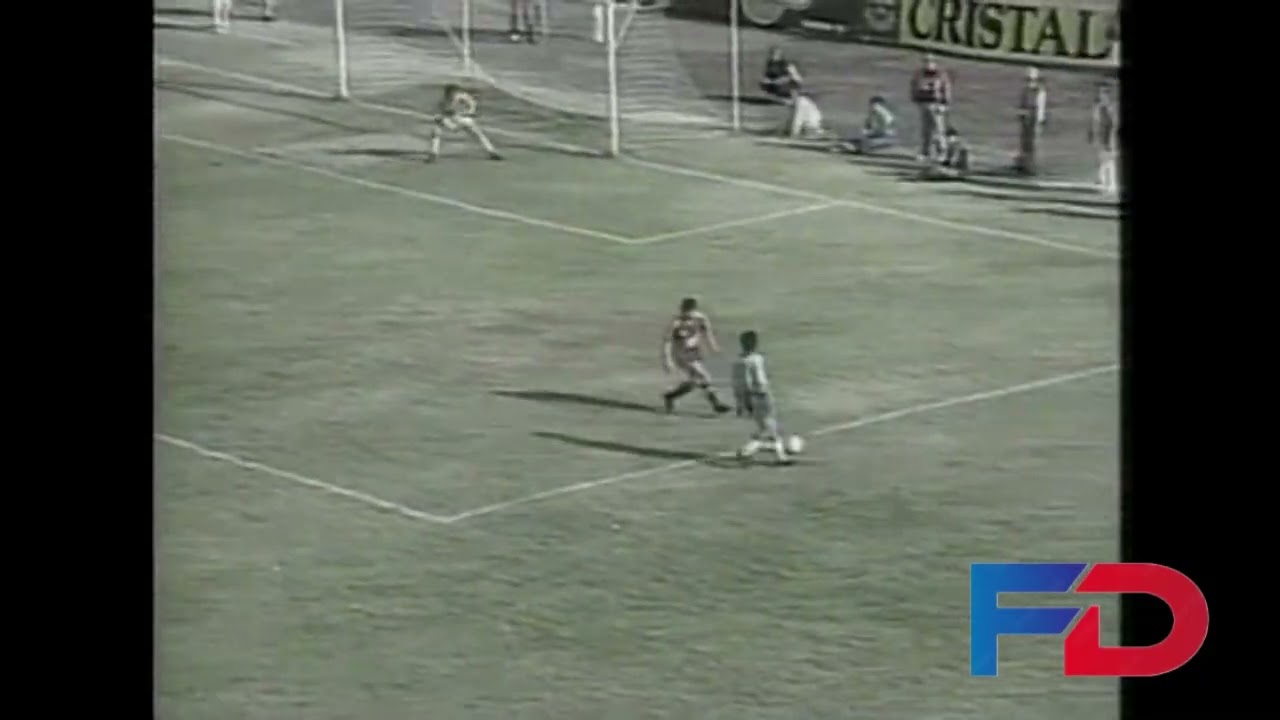 Goles Fecha 19 Campeonato Nacional 1991