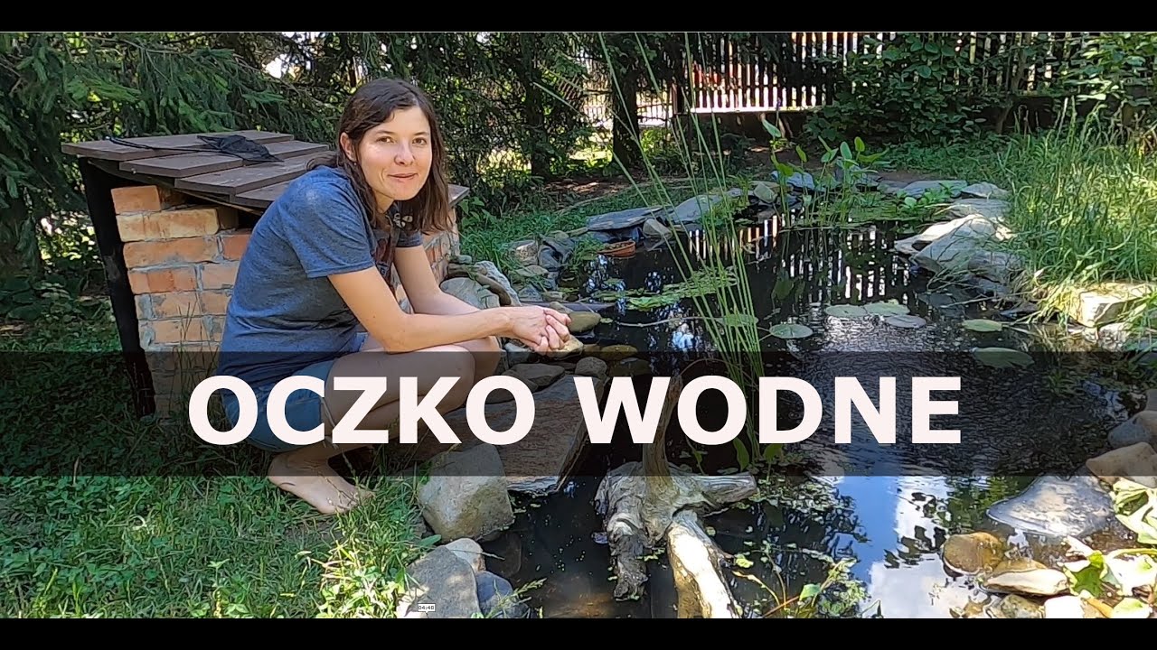 Oczko wodne 💧