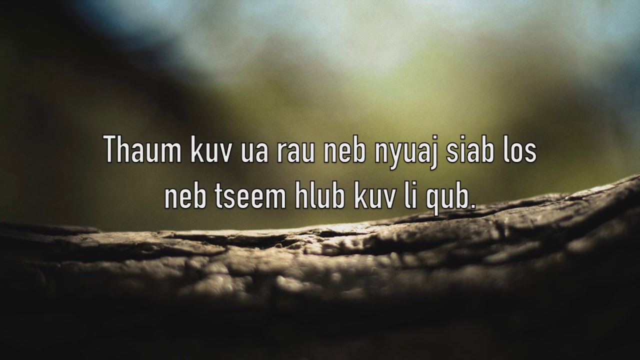 Whyteshadow - Khoom Plig Zoo (instrumental w/onscreen lyrics)