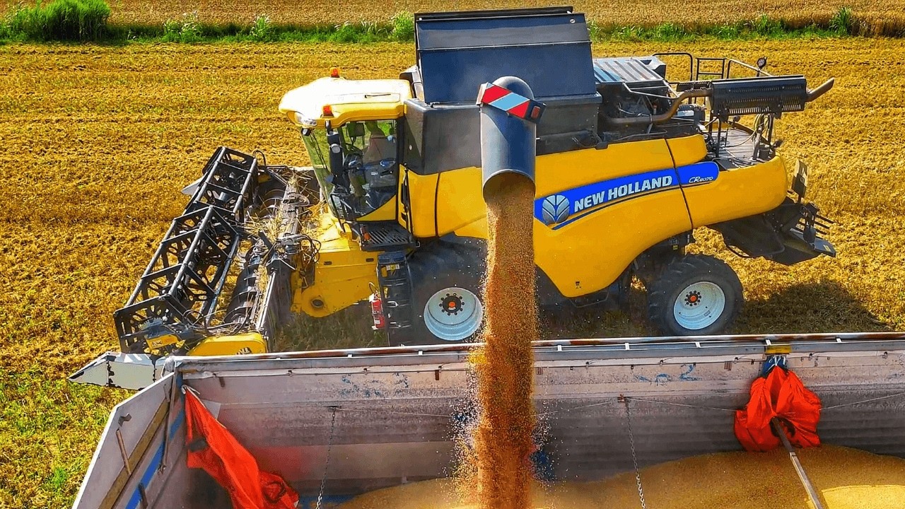 Молотилка пшеницы, комбайн New Holland CR 2025 года.