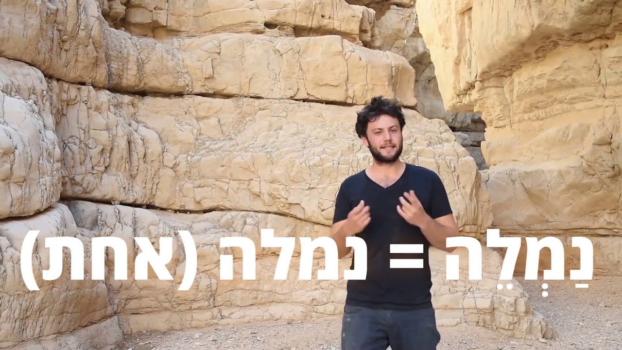 טיול במדבר ובדיחה