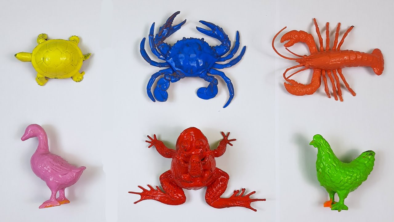 Pets : Chick, Turtle, Frog, Duck, Lobster, Crab
