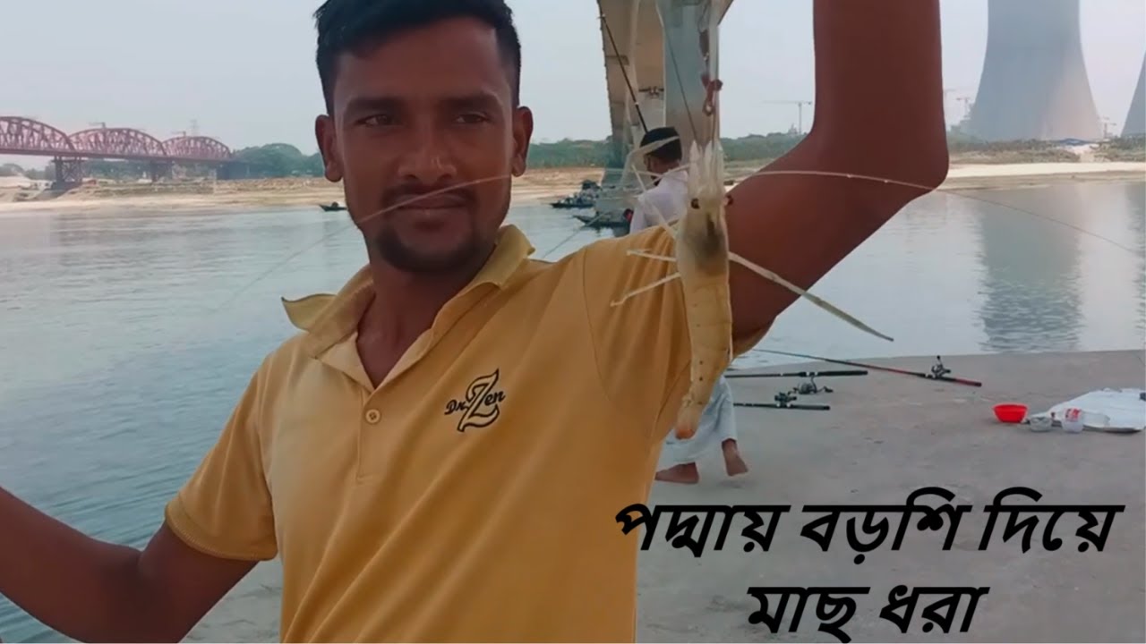পদ্মা নদীতে মাছ শিকার | পদ্মায় বড়শি দিয়ে মাছ ধরা | মাছ শিকার #fishing #catchingfish #fishingvideo