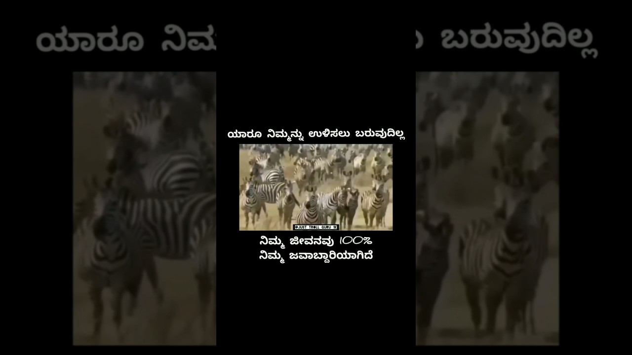 LIKE💞COMMENT 💞SUPPORT💞ಮಾಡಿ ........#kannadacomedy #kannadatrollers #kannada ❤️💛 #kannadigaru  #trend