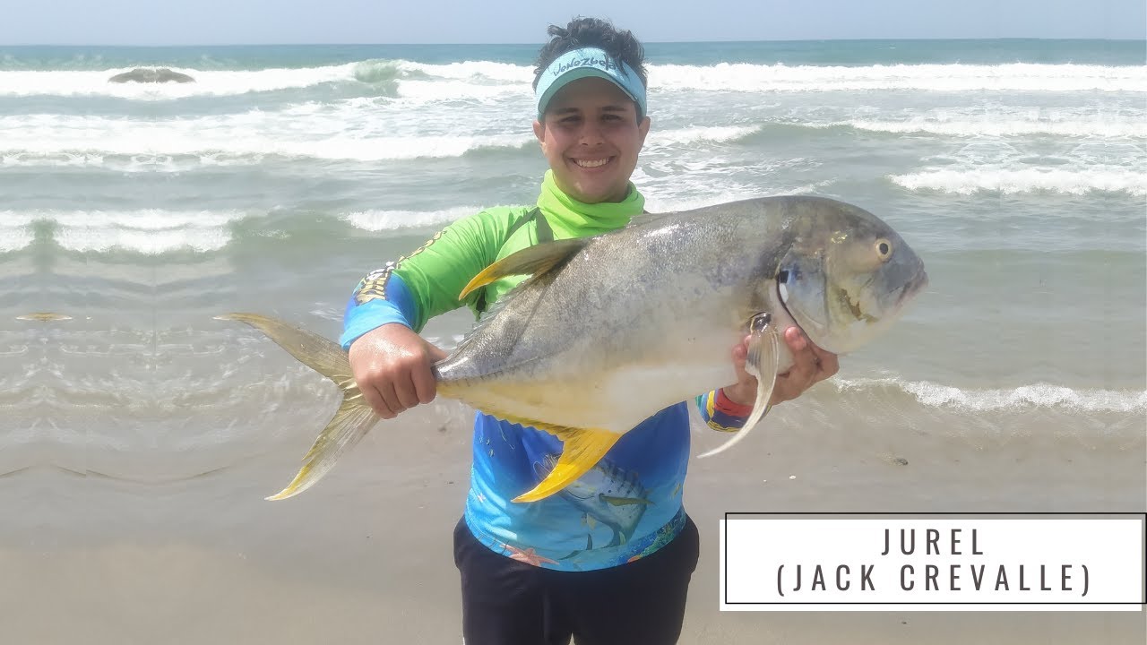 Pesca de jurel (Jack Crevalle) La guaira - Venezuela