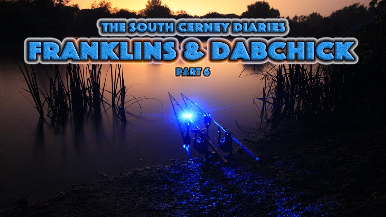 Franklins & Dabchick (lake 63) | S.C.A.C Diaries Update 6 - 2017