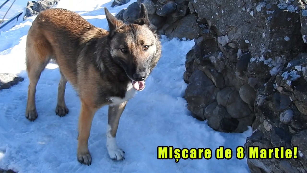 Cum se vede Ceahlăul de 8 Martie