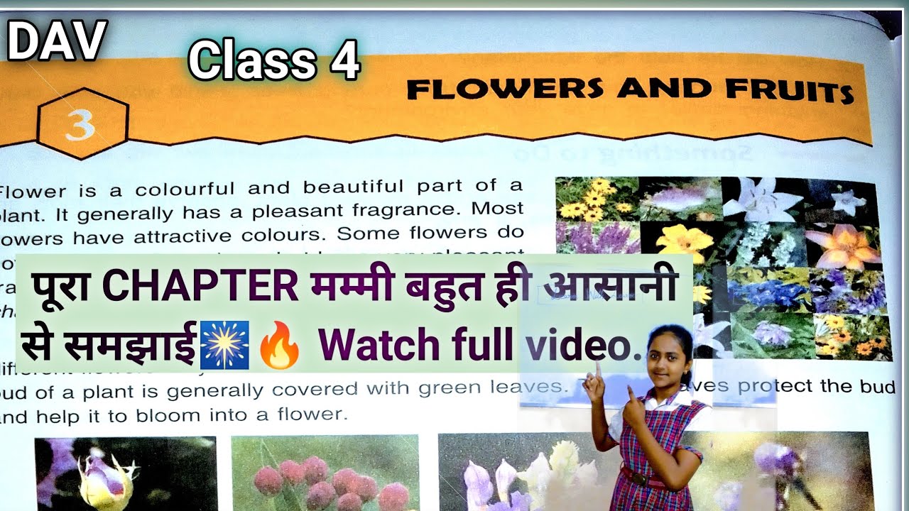 DAV Class 4 Science Chapter 3  Flowers and Fruits || 2023.