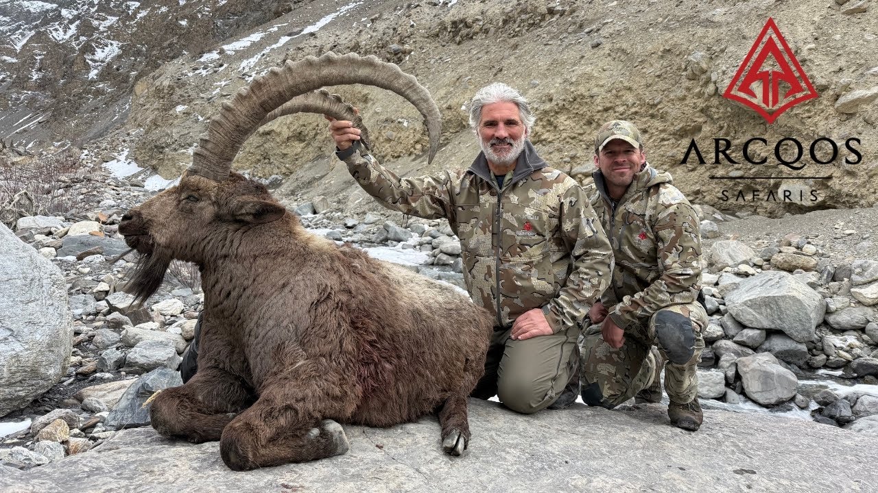 Pakistan’s Ultimate Mountain Challenge: The Himalayan Ibex