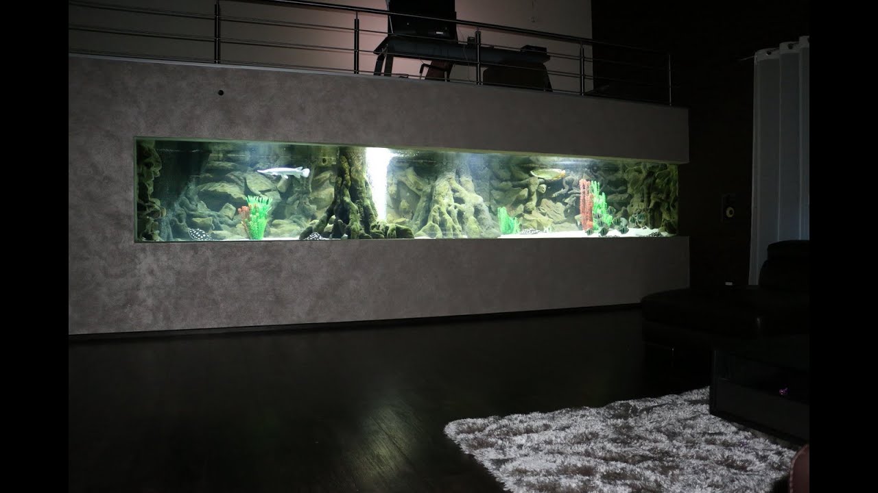Freshwater Predatory Fish in Mega Aquarium