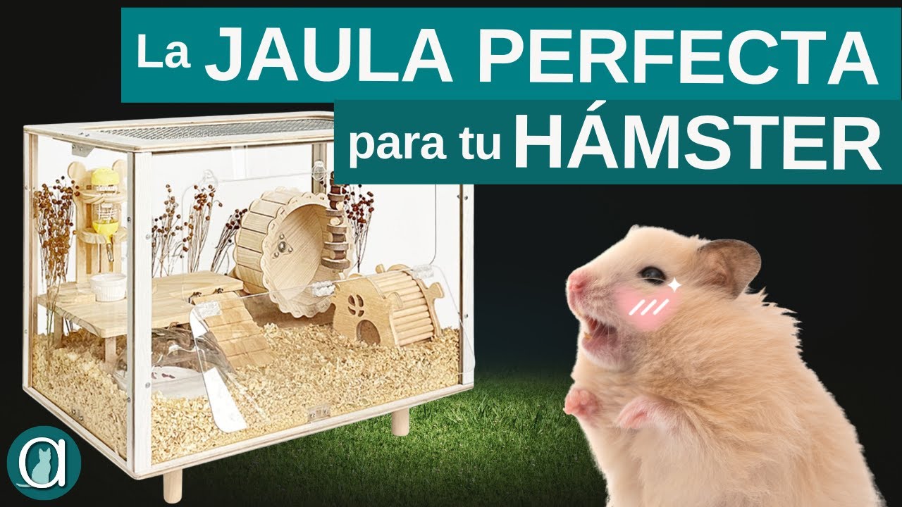 La mejor JAULA para HÁMSTER 🐹