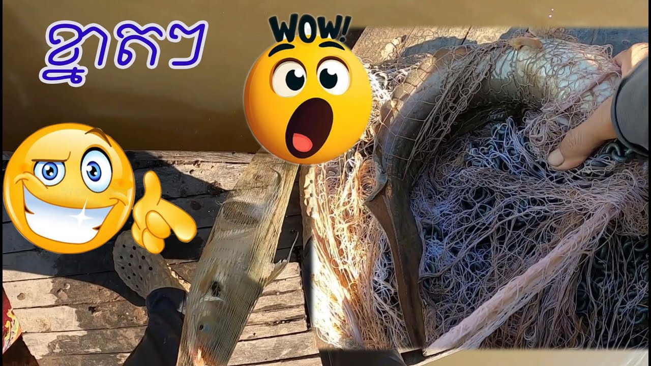 I caught a big fish after lunch | The Best Fishing Videos 2026 | #767