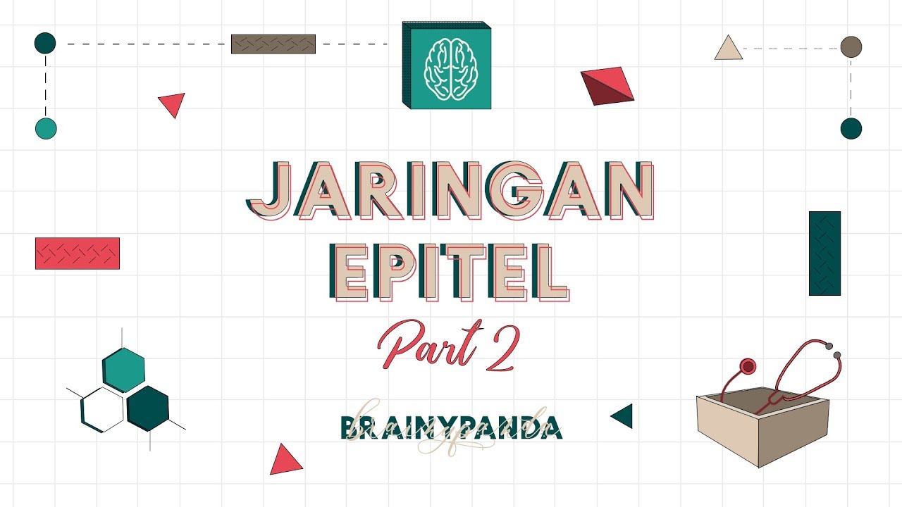 Jaringan Epitel: Klasifikasi | Ilmu Biomedik Dasar | Brainy Panda