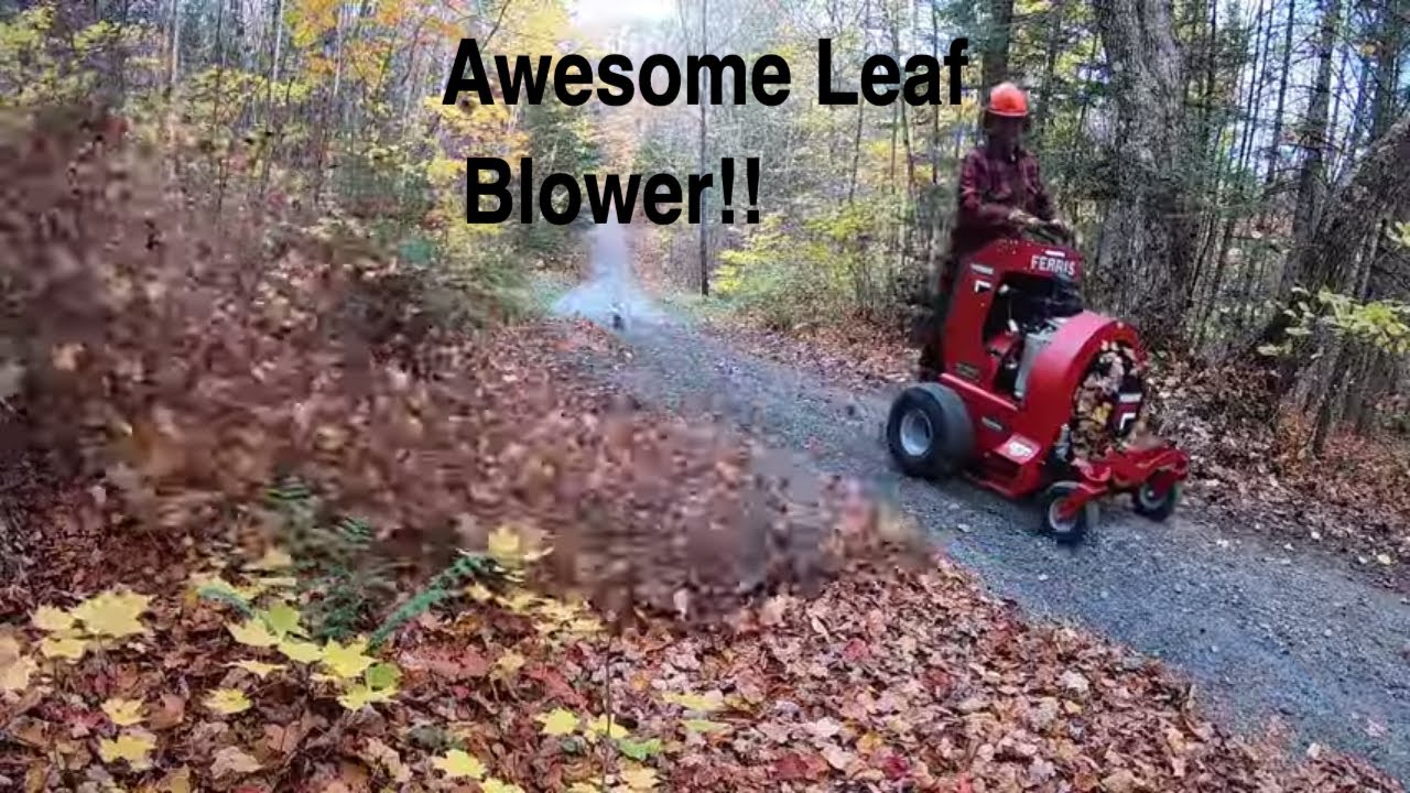 #339 Leaf Blower. FERRIS FB2000 Hurricane Stand On Debris Blower. Fall Leaves on Driveway. outdoors.