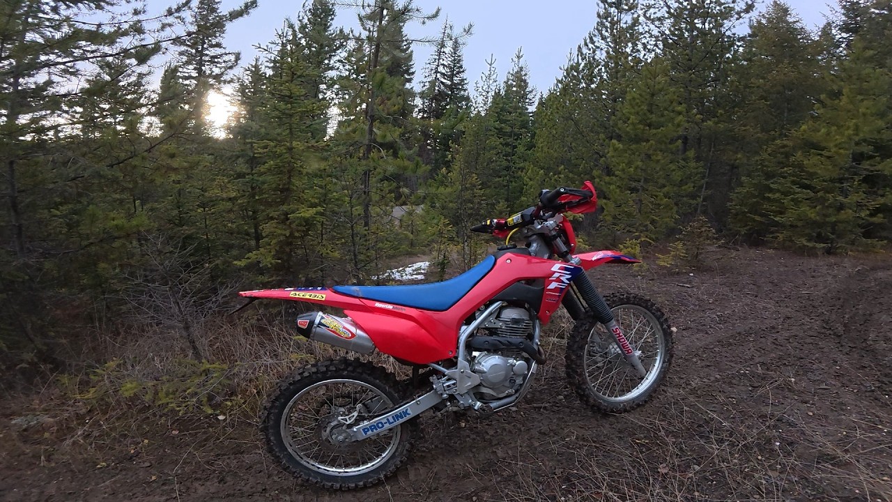CRF250F Half Hard Enduro - New Trail!