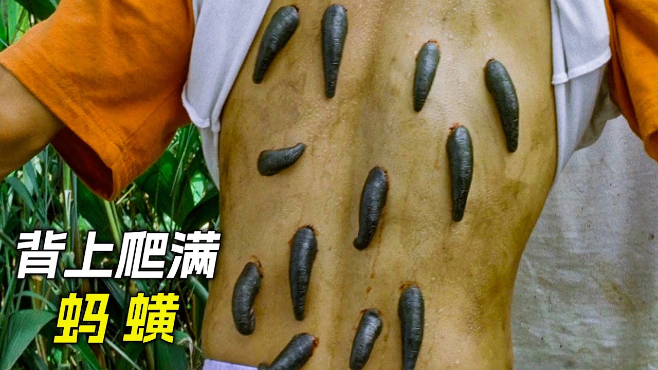 小夥來到原始森林，身上爬滿了螞蟥，科幻，奇幻，電影，解說，獵奇，懸疑，冒險，超能力