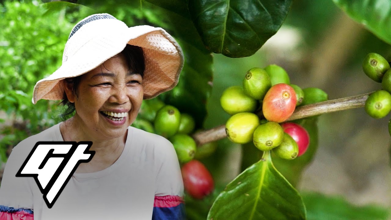 This Is the Only Coffee Farm in Hong Kong