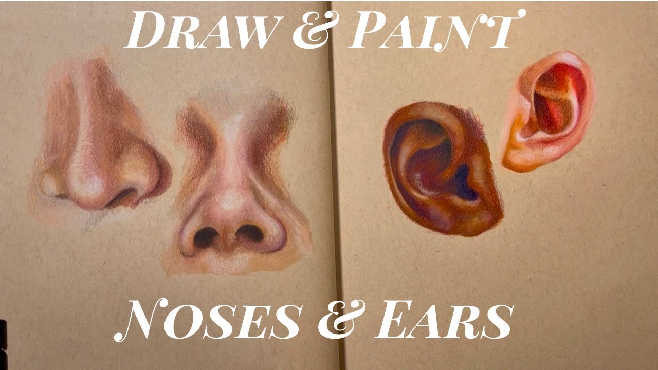 How to Draw and Paint Noses and Ears | Mastering the Natural World