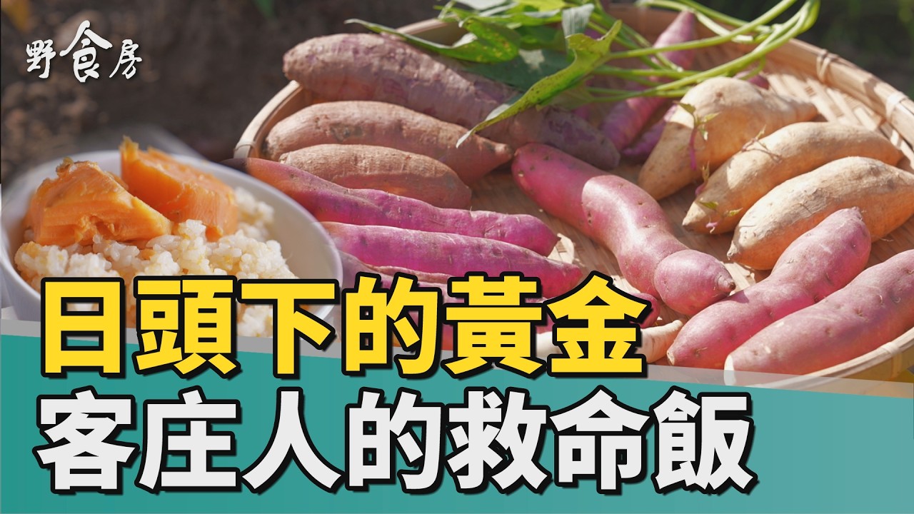 日頭下的黃金，客庄人家的救命飯 | 野食房