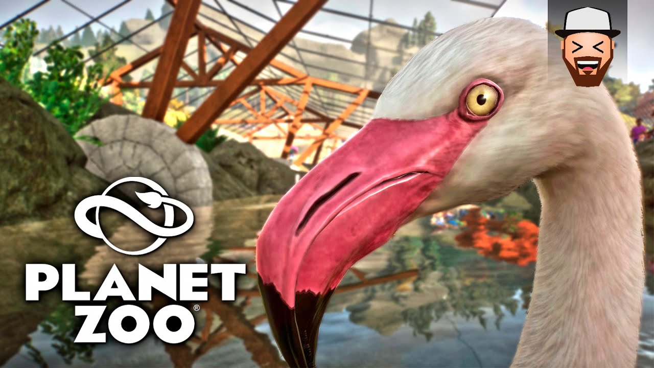 Uma Linda Cobertura para os Flamingos | Planet Zoo #05 | Gameplay pt br