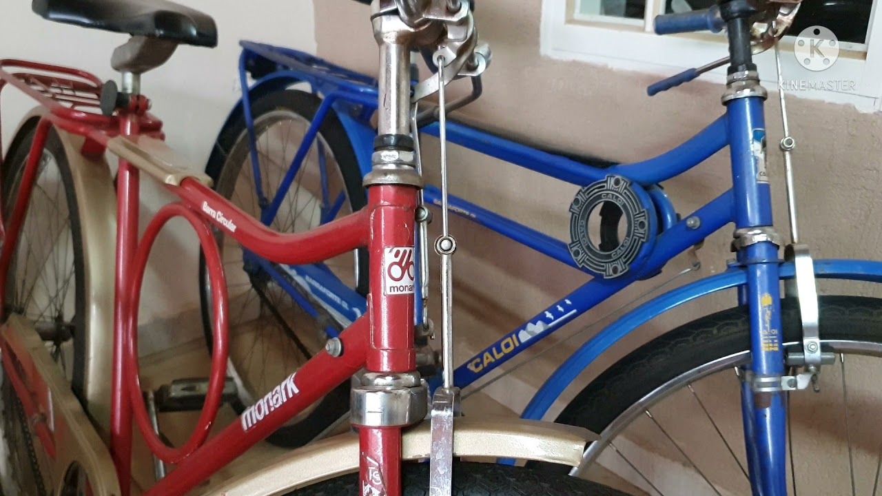 Minhas Bicicletas de estimação.