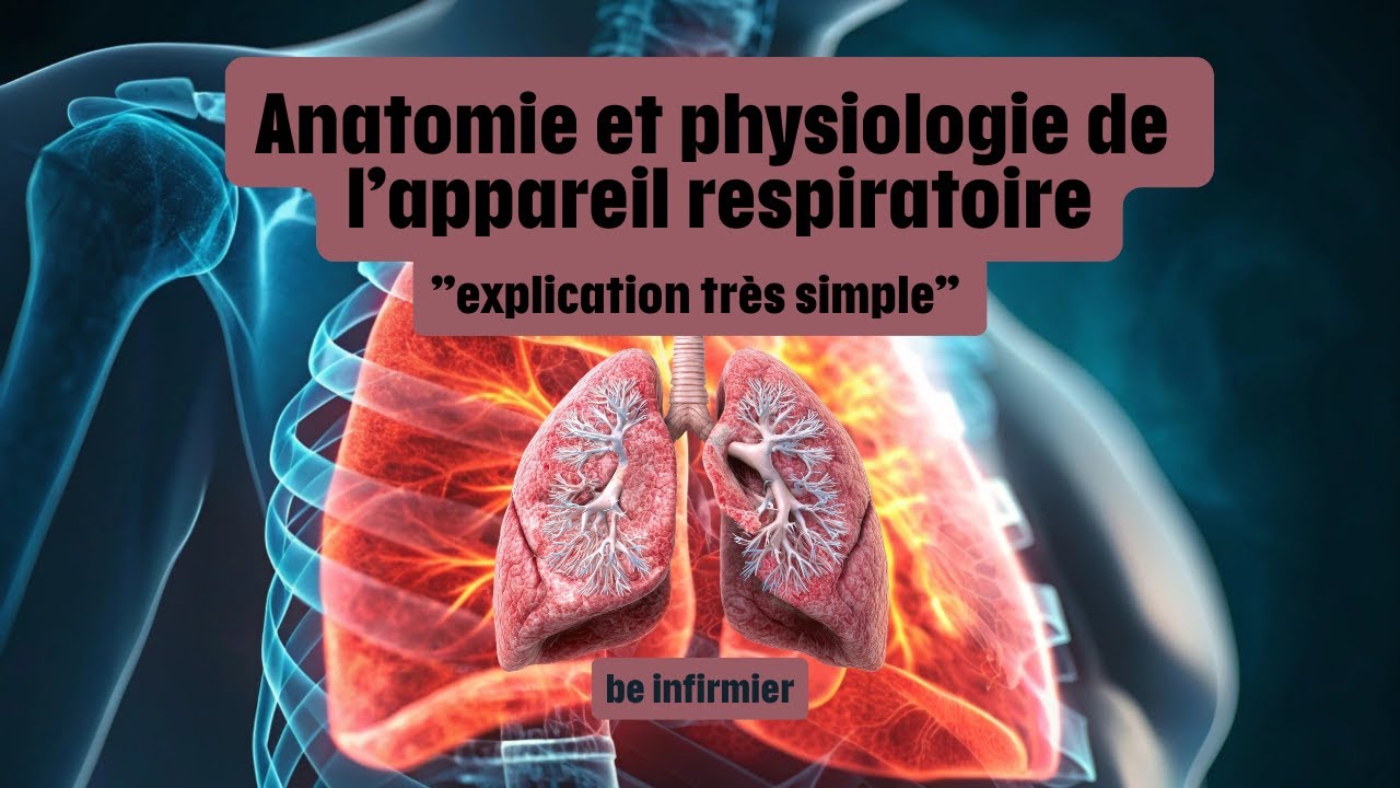 Anatomie et physiologie de l'appareil respiratoire