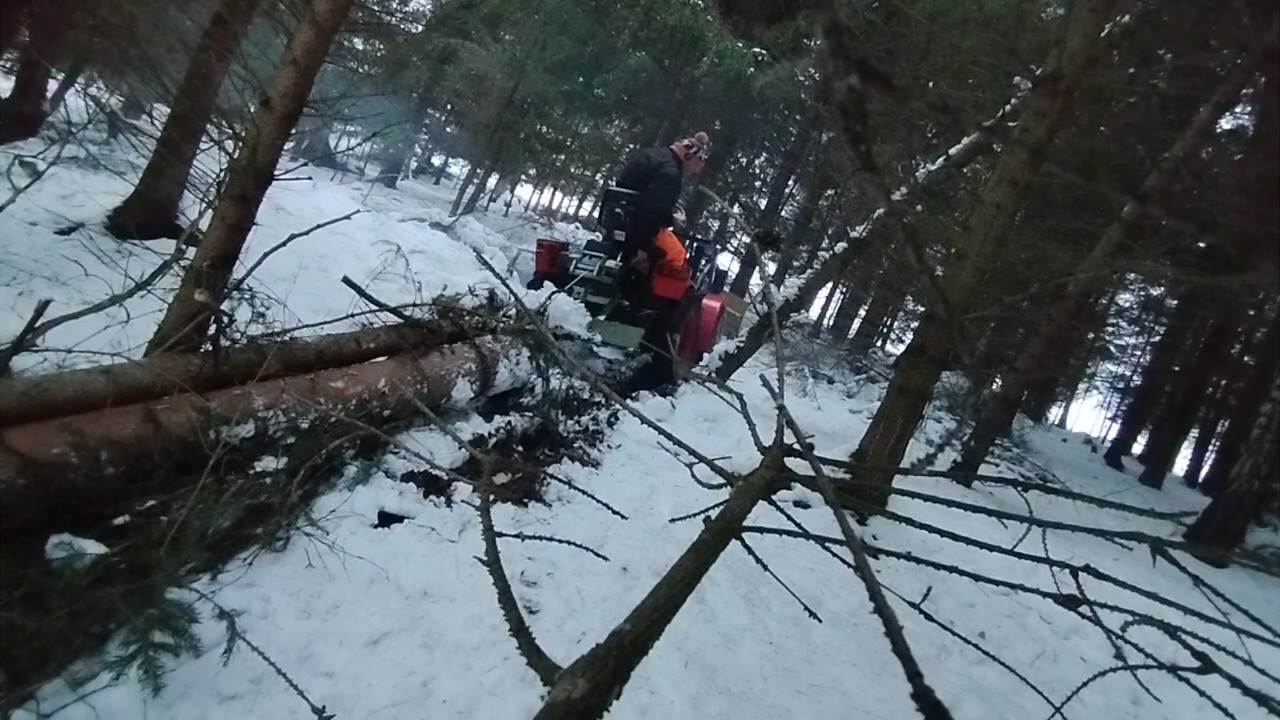 TZ4k14 small orvex  equus trápení v kopci snih , koreny , Husarwinch 4tun