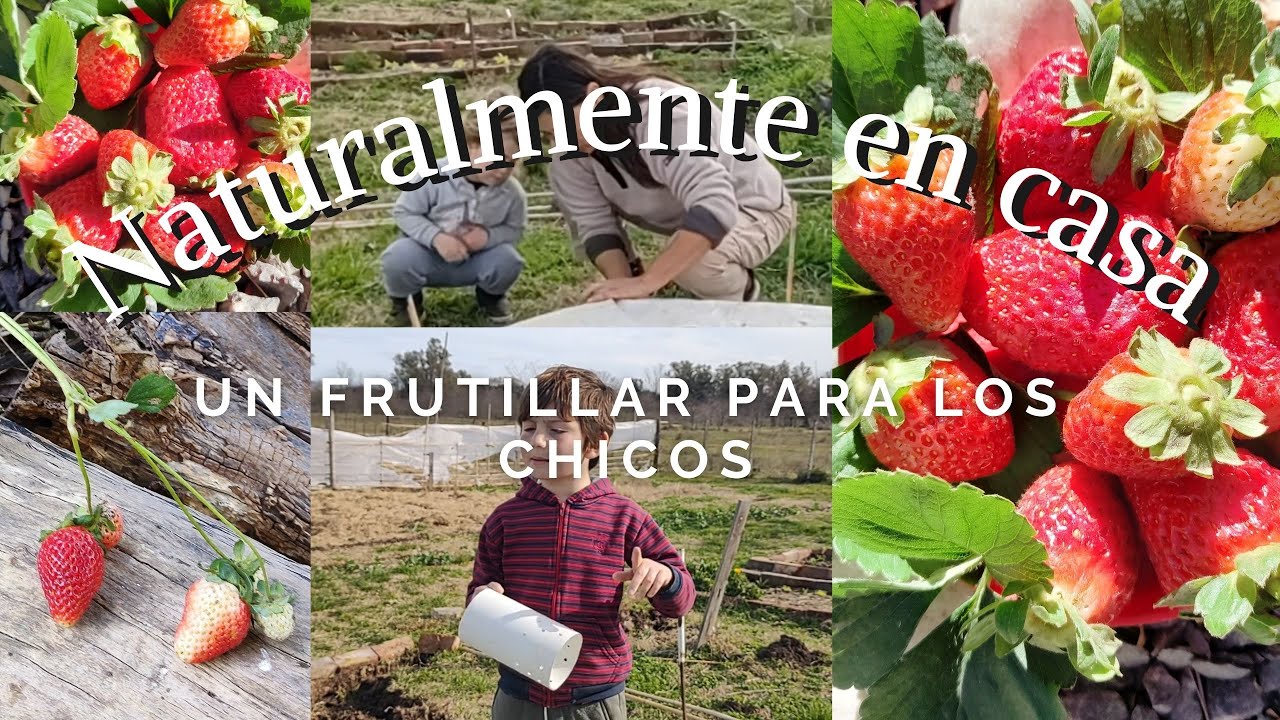Huerta Un 