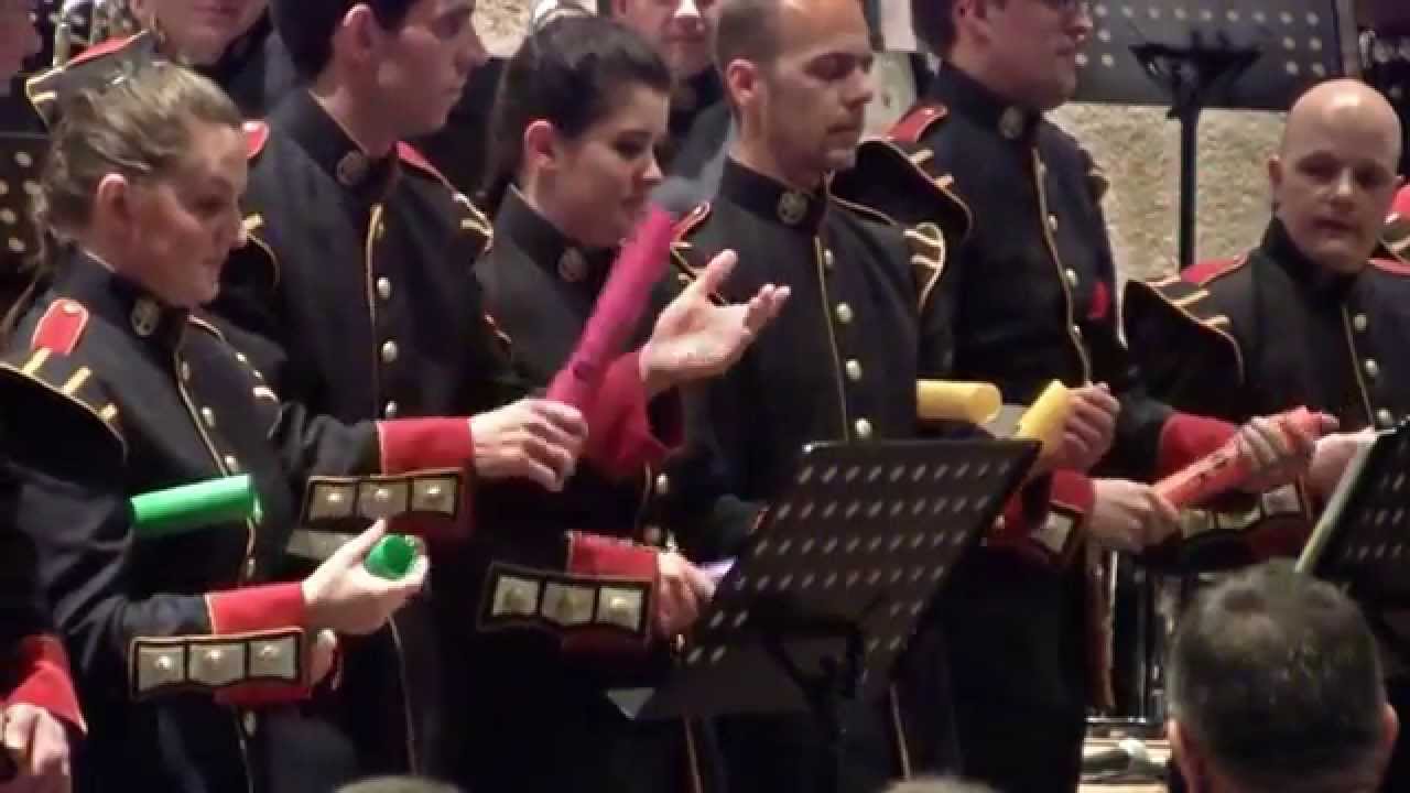 Rijnmondband Concert Wake me Up