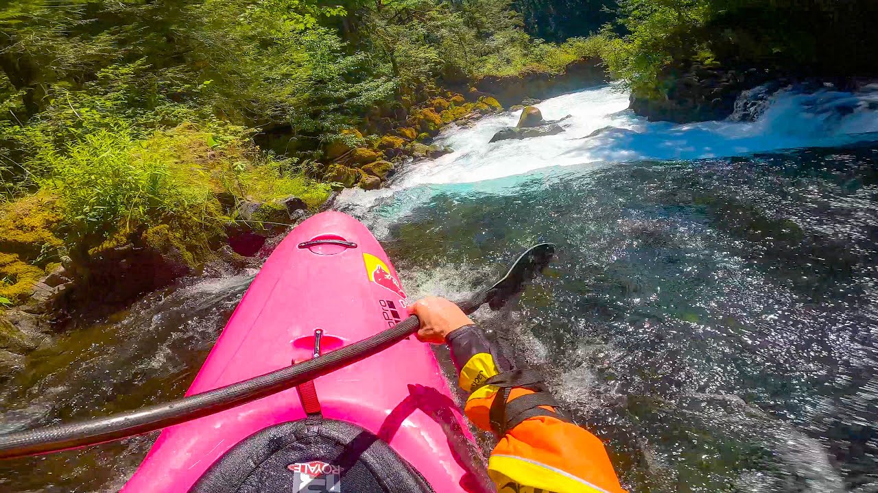 &ldquo;Couldn&rsquo;t skip it.. | LITTLE WHITE GNARVANA