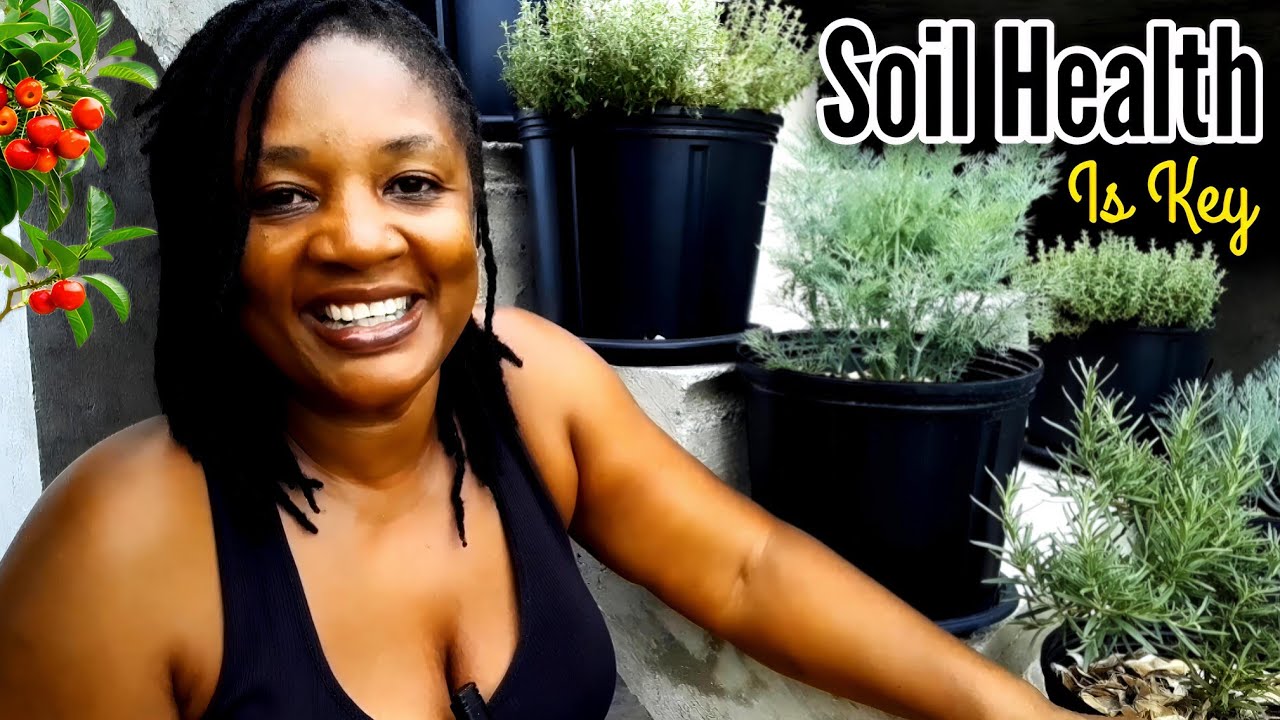 How To Make The PERFECT GARDEN SOIL At Home With FREE Ingredients
