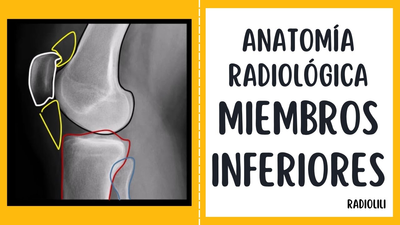 Anatomía Radiológica - Radiología Convencional: Miembros Inferiores.