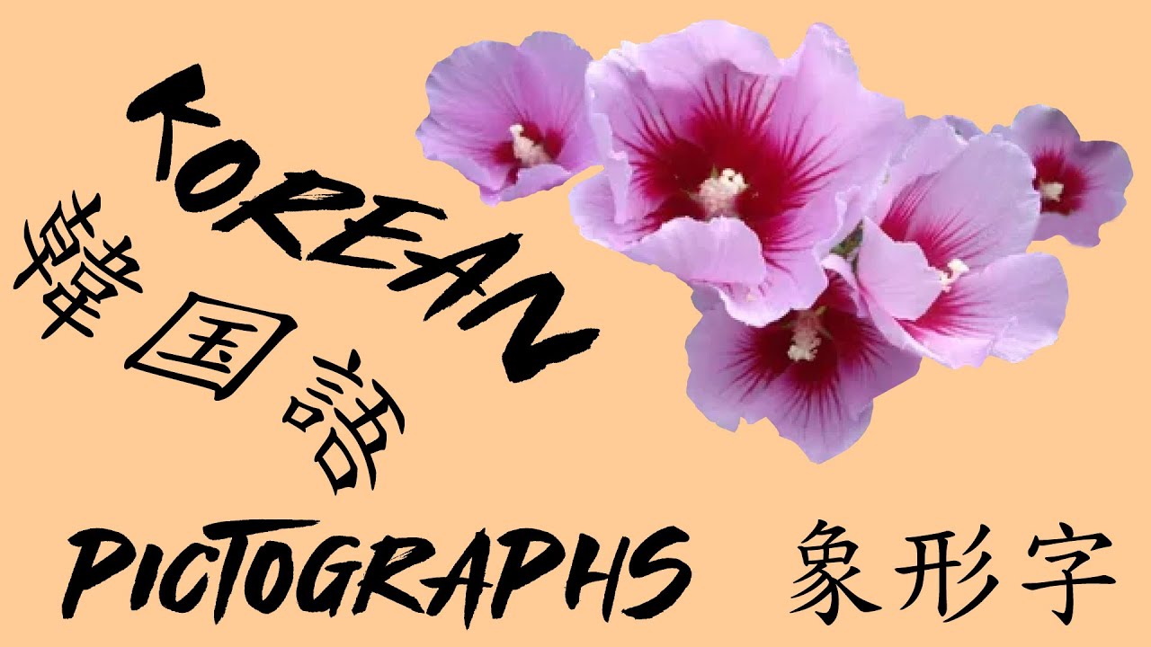 PICTOGRAPHS - Korean Lessons - 象形字 상형자 - 韓国語授業 한국어수업