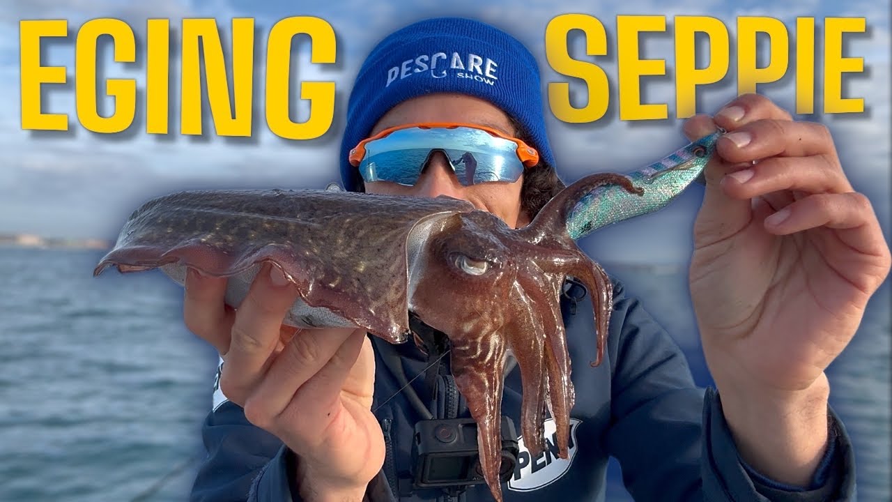 EGING alle Seppie dalla Barca🦑COLORI e SPOT mi Salvano la giornata
