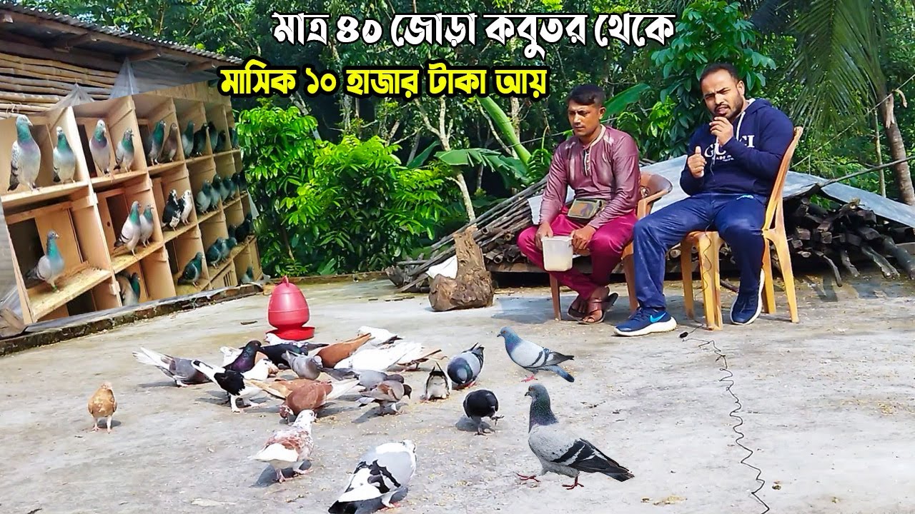 বছরে ১,৫০,০০০/= টাকা আয় মাত্র ৪০ জোড়া কবুতর পালনে।