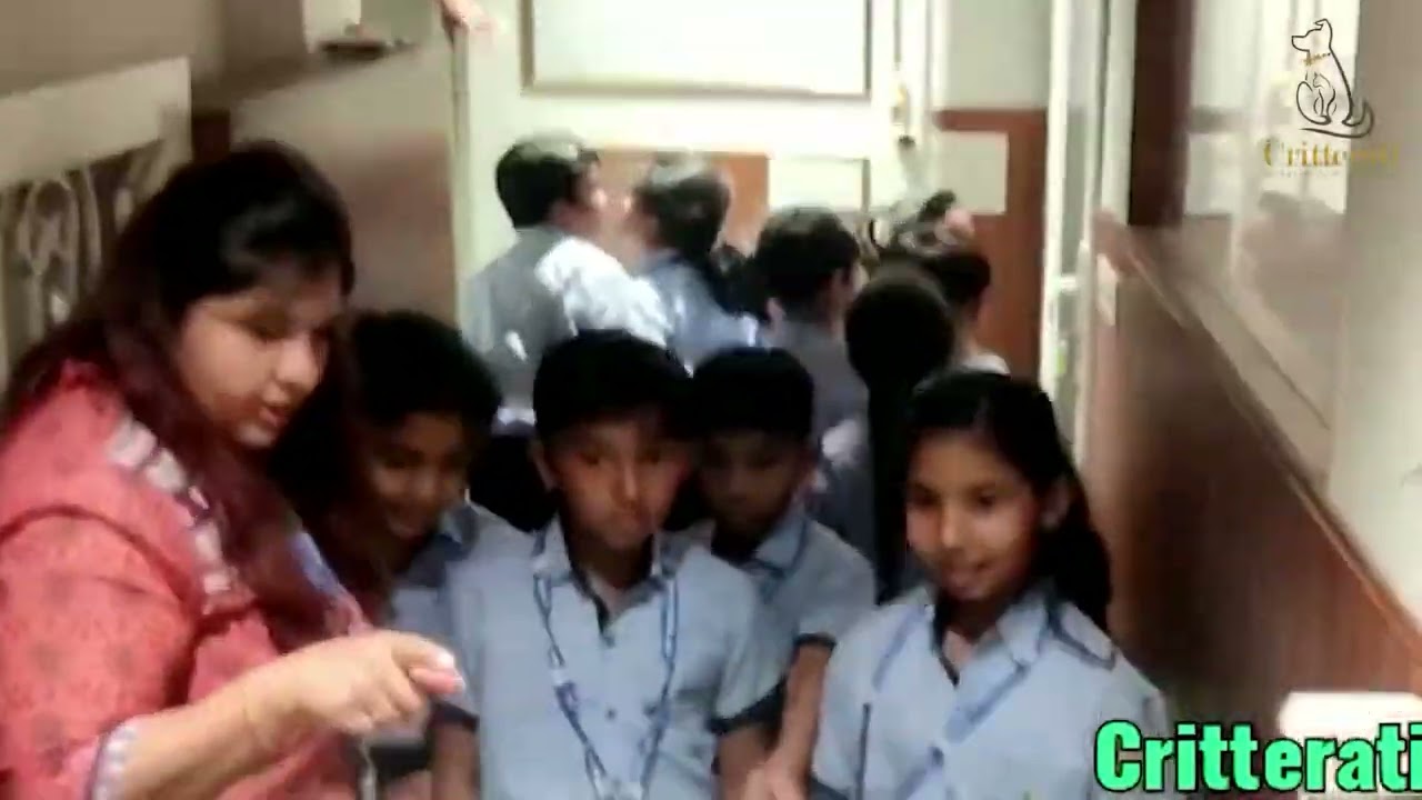 School visit at Critterati #shortsfeed #shortsviral #shotsyoutube