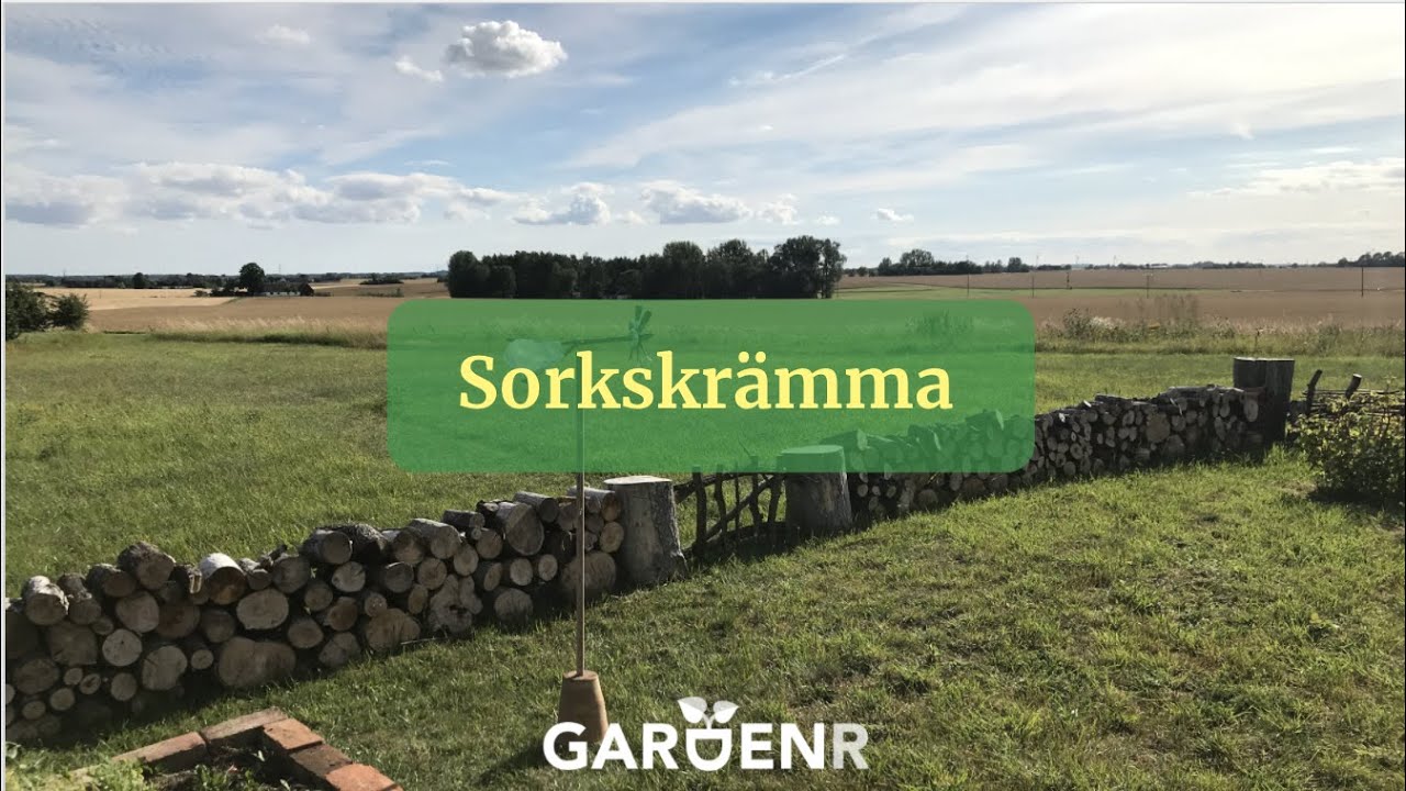 Sorkskrämma - Trädgårdshacks med GardenR
