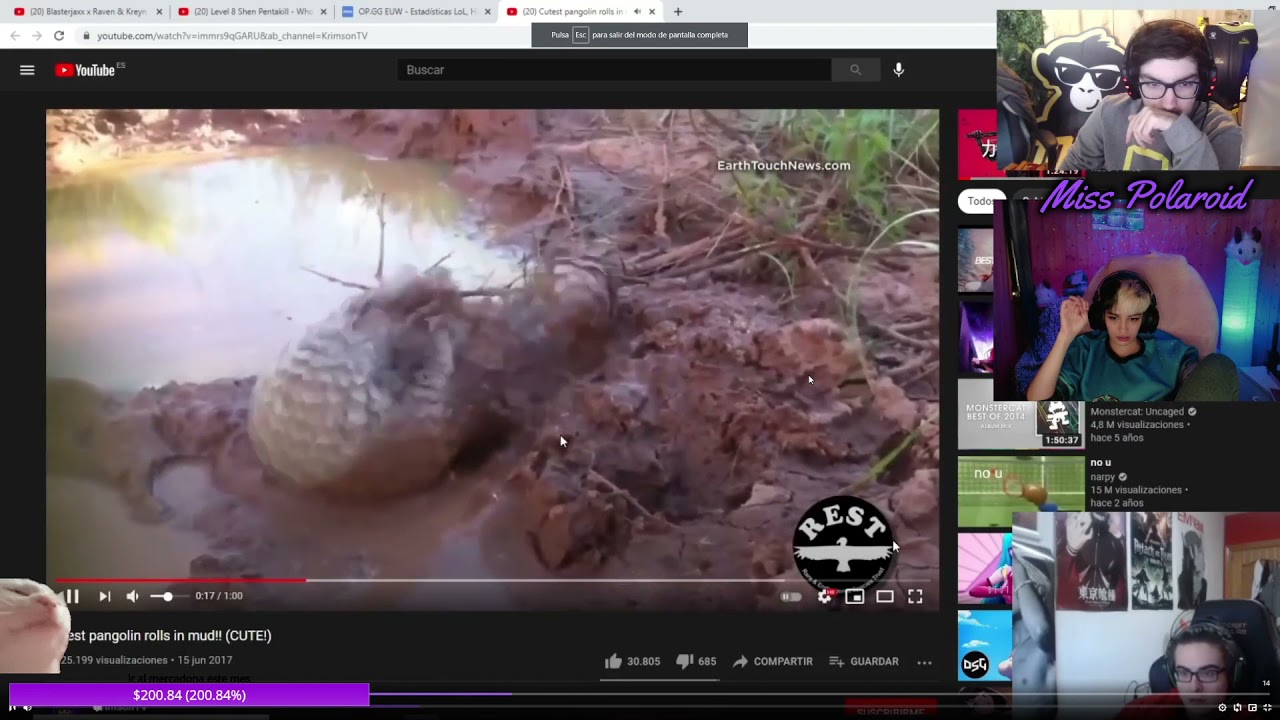 Trolleada x3 / MissPolaroid