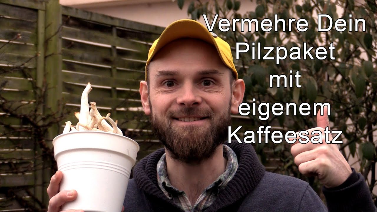 Vermehre Dein Pilzpaket mit eigenem Kaffeesatz - z&uuml;chte selbst Edelpilze zuhause