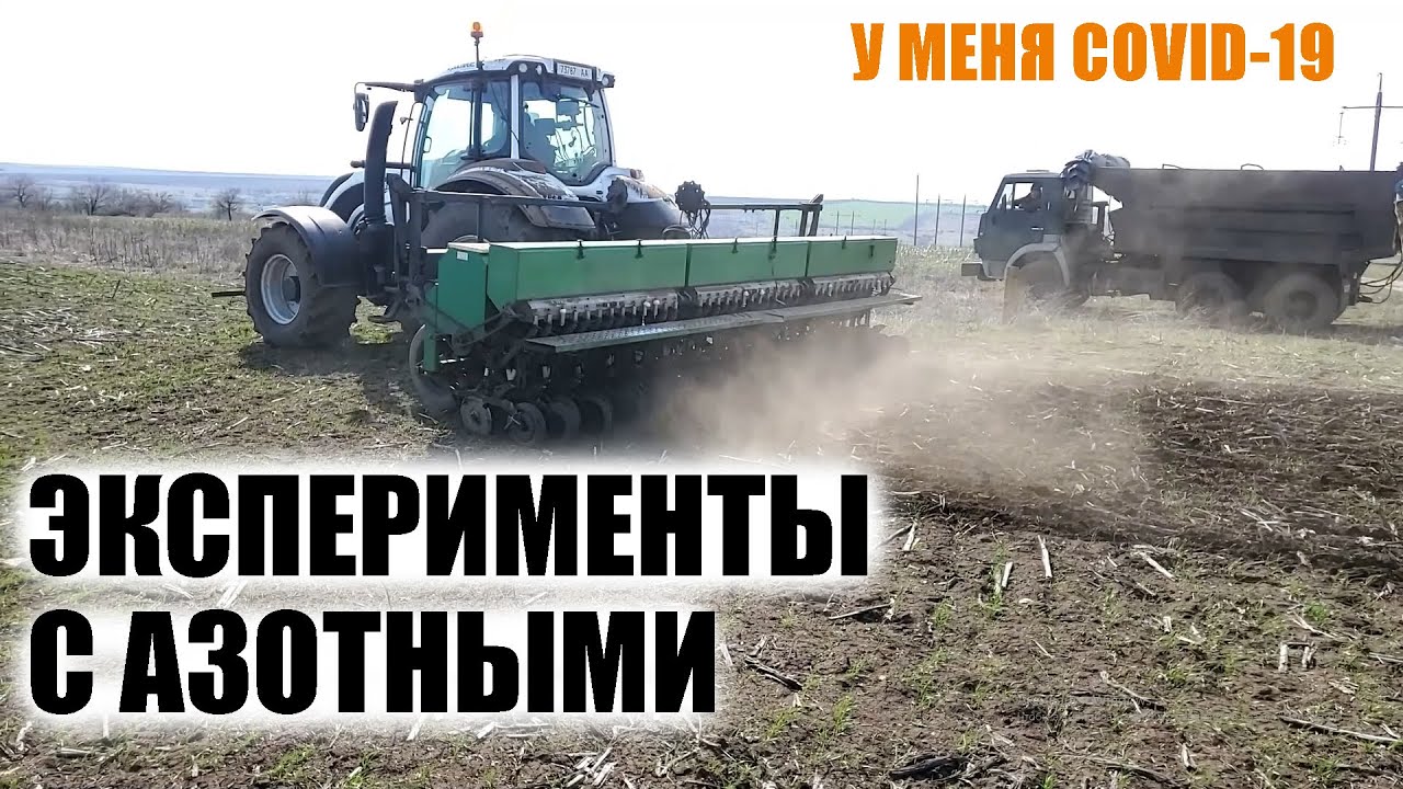 Как посчитать сколько усвоилось азота из минеральных удобрений - селитры, карбамида, КАСа?